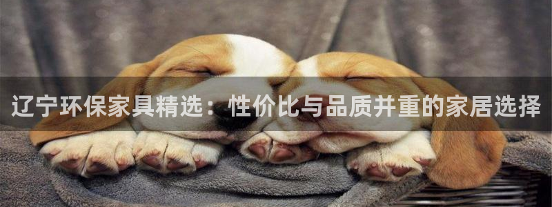 沐鸣2注册登录代理：辽宁环保家具精选：性价比与品质并重的家居