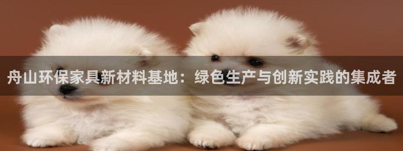 沐鸣2代理1980：舟山环保家具新材料基地：绿色生产与创新实
