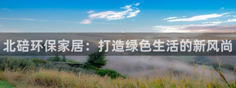 沐鸣2平台服务中心是干嘛的：北碚环保家居：打造绿色生活的新风