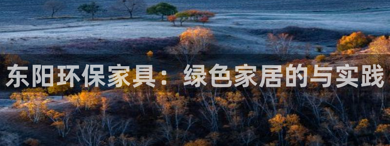 沐鸣2平台登陆地址：东阳环保家具：绿色家居的与实践