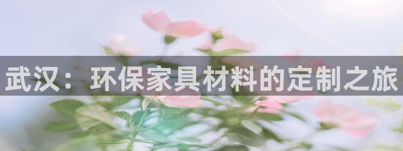 沐鸣2平台服务中心是干嘛的：武汉：环保家具材料的定制之旅