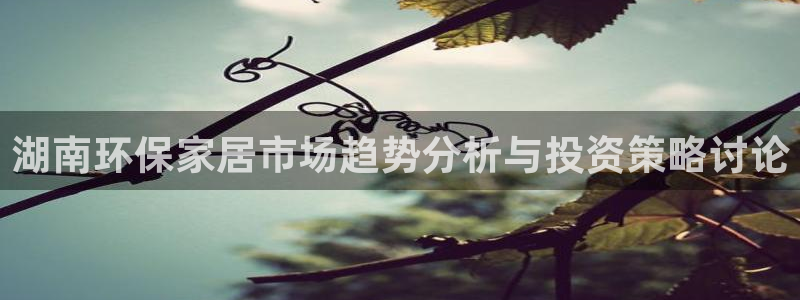 沐鸣2总代