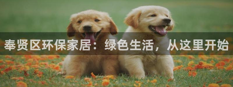 沐鸣2平台服务中心怎么样