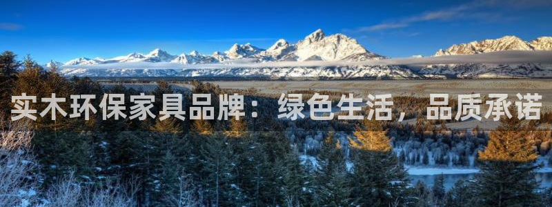 沐鸣2官方：实木环保家具品牌：绿色生活，品质承诺